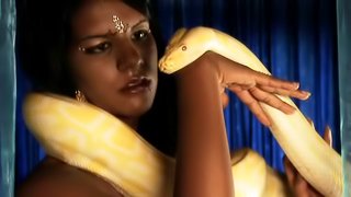 Sexy Indian slut is playing with real snake